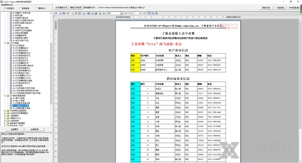 Grid++Report截图3