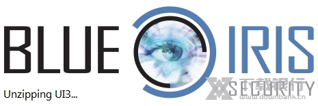 BlueIris破解版图片1