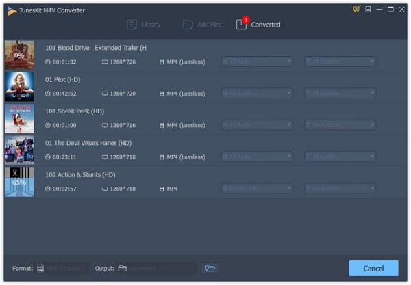 ViwizardM4VConverter破解版图片7