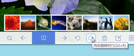 万能看图王电脑版旋转图片方法图片