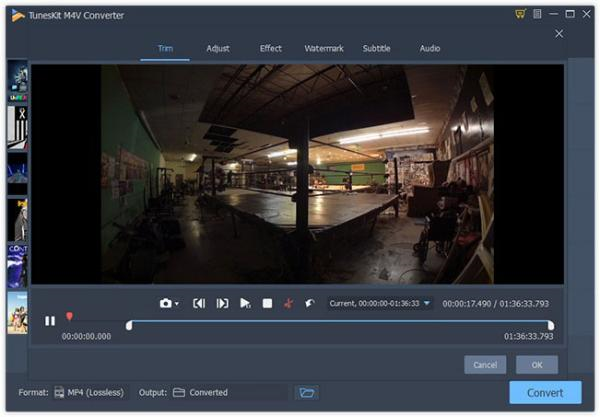 ViwizardM4VConverter破解版图片6