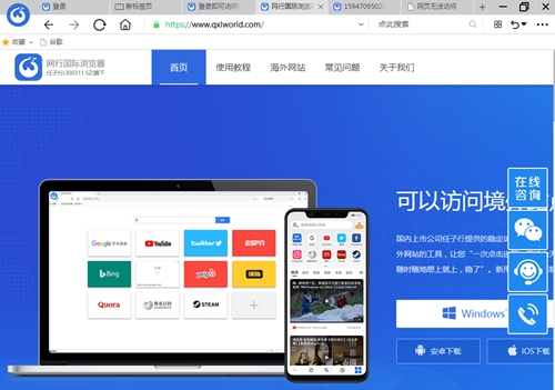 网行国际浏览器截图6