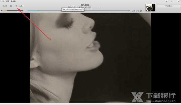 JRiverMediaCenter28图片8