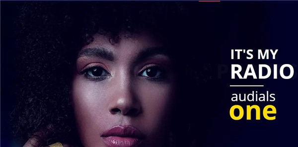 AudialsOne2022破解版图片15