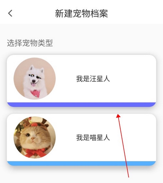 猫语翻译器APP如何创建宠物档案3