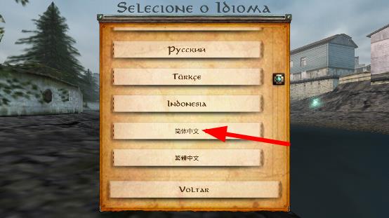 中文设置攻略配图2