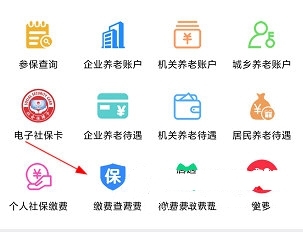 怎么查询社保缴费信息1
