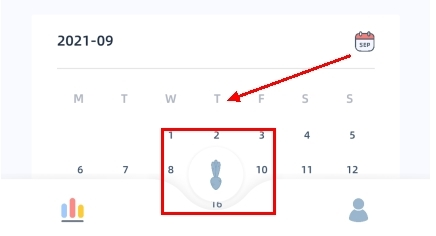 柠檬点点怎么种植物图片1