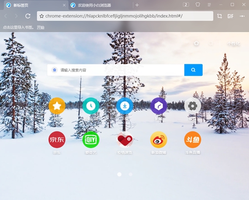 小白浏览器截图1