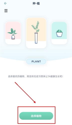 柠檬点点怎么种植物图片3