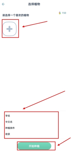 柠檬点点怎么种植物图片4