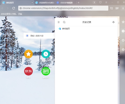 小白浏览器截图3