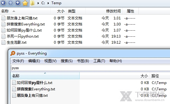 IbEverythingExt图片1