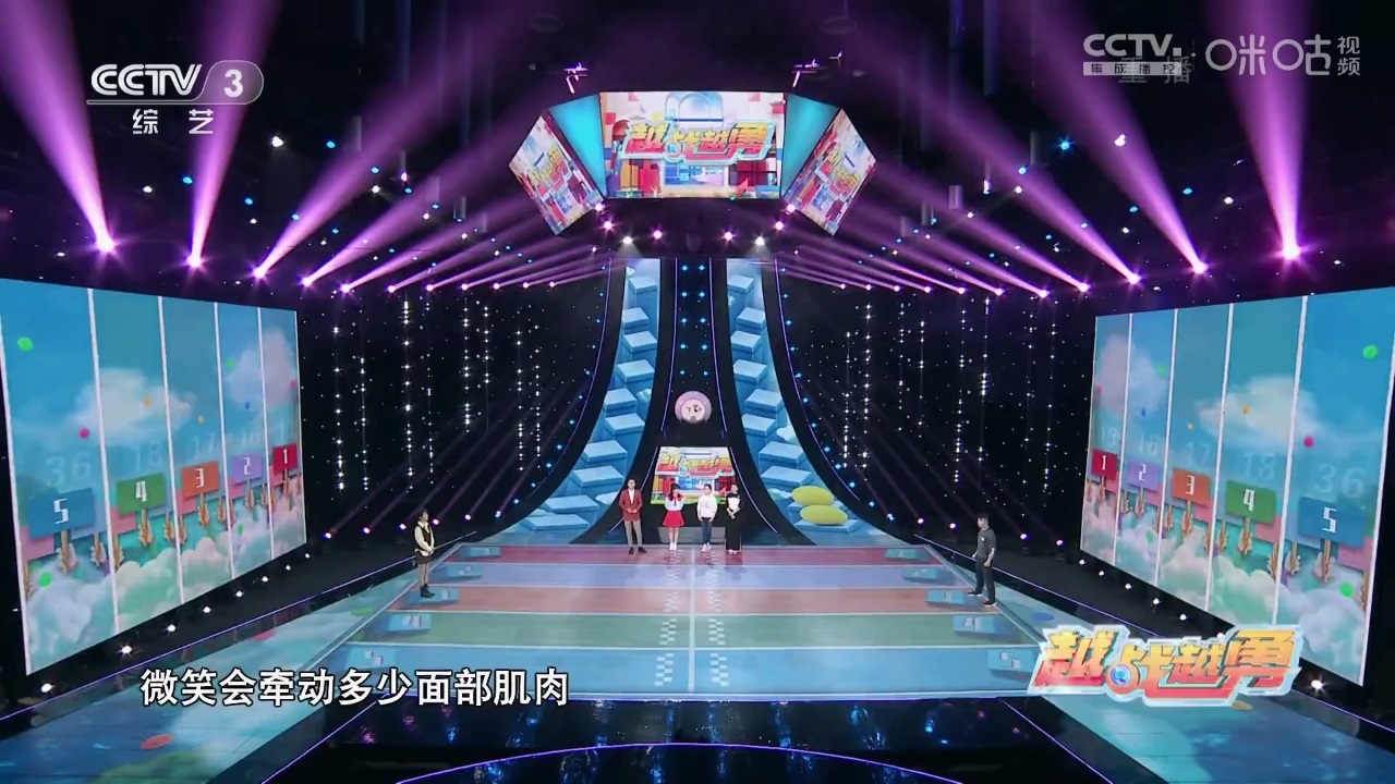 神鸟电视TV版图片