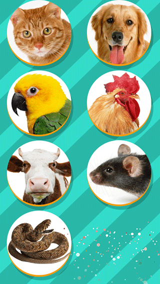 Pet Translator使用教程22