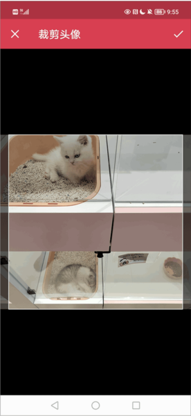 更换头像教程配图4