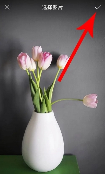 爱奇艺泡泡app怎么换头像