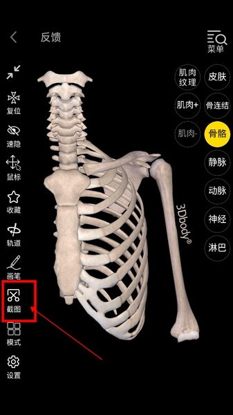 3Dbody如何下载图片2