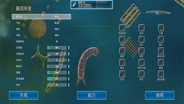 孢子的起源图片