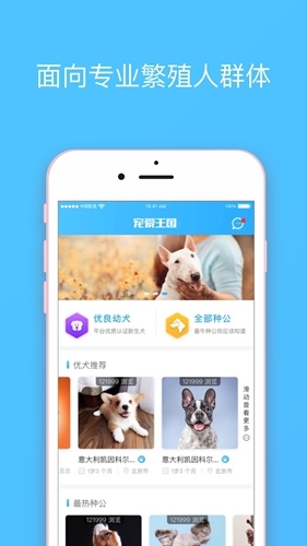 宠爱王国app图片2