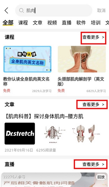 3Dbody怎么查肌肉3