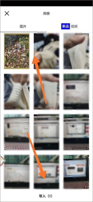 VSCO安卓破解版图片2