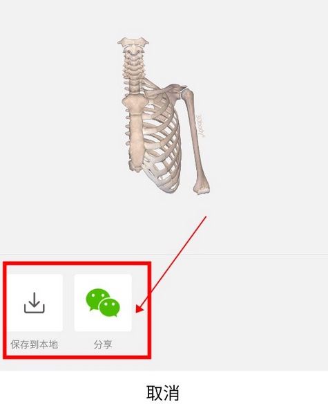 3Dbody如何下载图片3