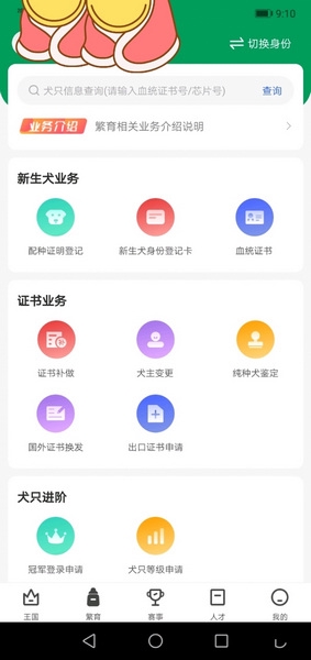 宠爱王国查询犬舍教程图片2