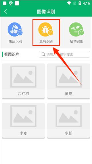 如何进行农作物虫病识别配图3