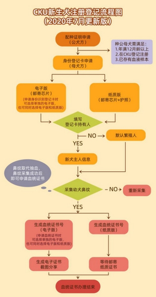 宠爱王国登记自己买的狗教程图片