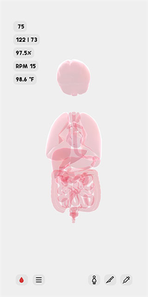 生命游戏图片10