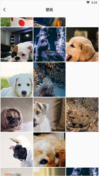 可立拍相机使用教程5