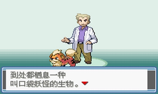 口袋妖怪永恒之炎截图