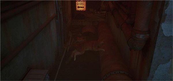 迷失Stray第2章死城攻略图片3