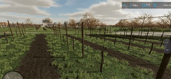 模拟农场23怎么种葡萄2