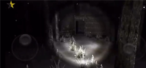 恐怖森林2通关攻略图片3