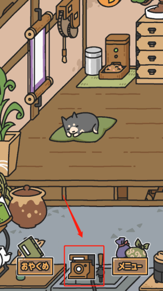 狗狗的使命新手攻略图片5