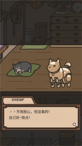 狗狗的使命图片