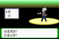 口袋妖怪空之花神图文攻略截图2