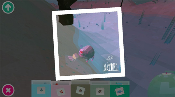 托卡大自然游戏攻略图片9