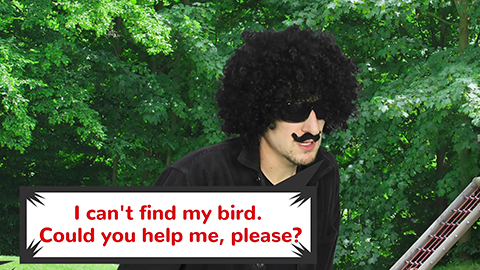 百词斩少儿英语App使用教程