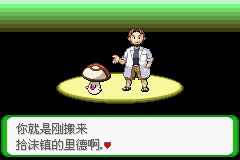 口袋妖怪空之花神图文攻略截图5