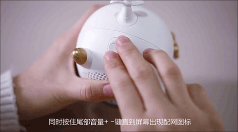 猪小飞app怎么连接wifi图片1