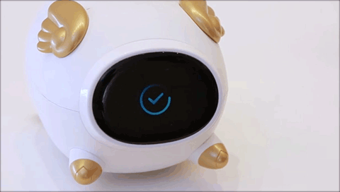 猪小飞app怎么连接wifi图片4