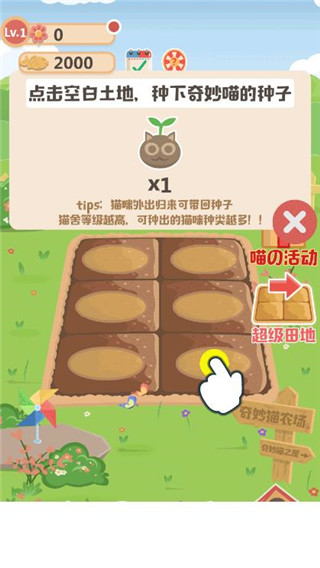 奇妙猫之家游戏玩法图片2