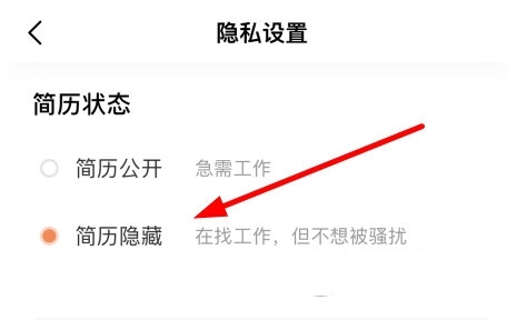 简历隐藏方法介绍2