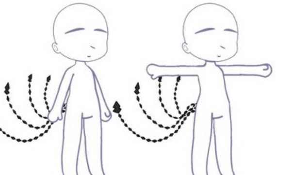 加查薰衣草图片