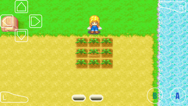 牧场物语女孩版农作物种植教程图片6