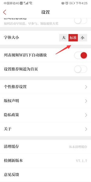 字体大小调整教程3