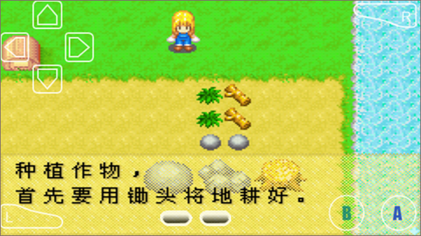 牧场物语女孩版农作物种植教程图片1